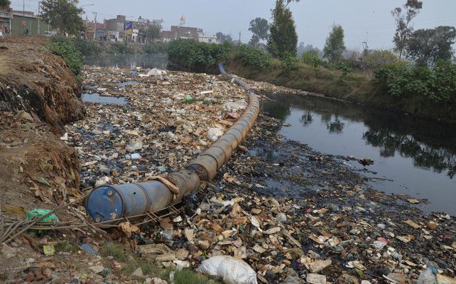 Dairy waste still being dumped into Buddha Nullah: Task force