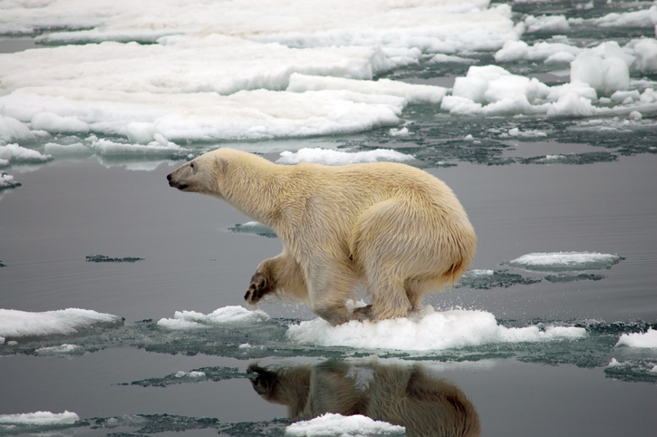 UN agency confirms 2020 Arctic heat record
