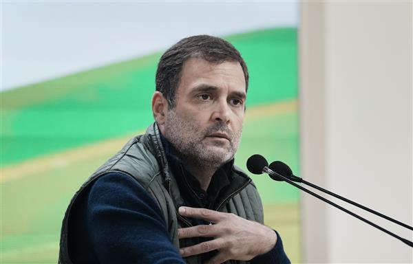 UP government beat those seeking employment with sticks, remember this when BJP seeks votes: Rahul Gandhi