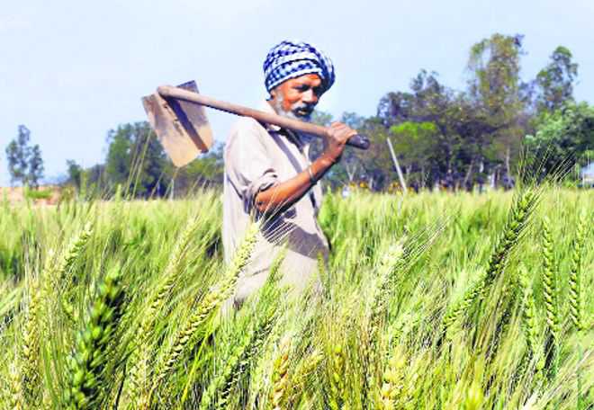 In letter to PM, Punjab CM Channi bats for farm debt waiver