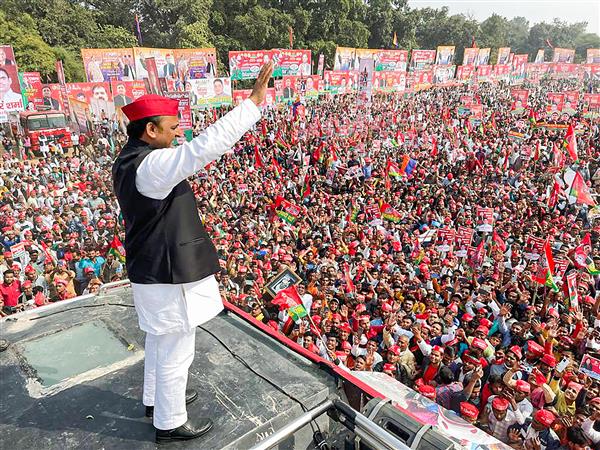 Samajwadi Party claims sitting OBC legislators from BJP joining party; all eyes on December 7 Meerut rally