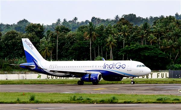 IndiGo loader falls asleep in cargo compartment of plane; reaches Abu Dhabi