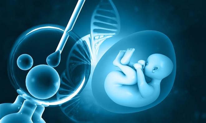Testing embryos before IVF doesn’t increase the chance of a baby
