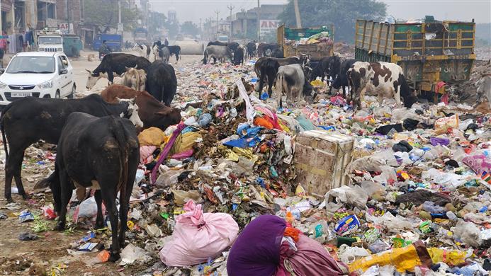 Zirakpur stinks as sanitation staff strike enters third day