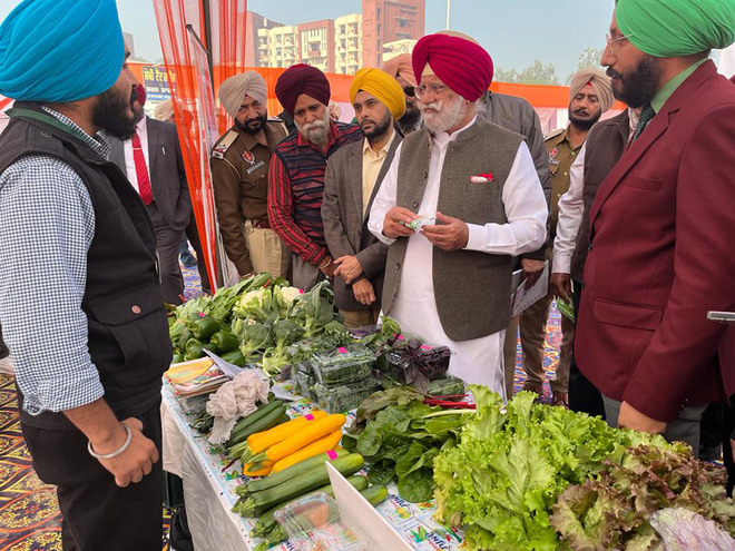 Doaba to be developed as potato seed hub: Minister