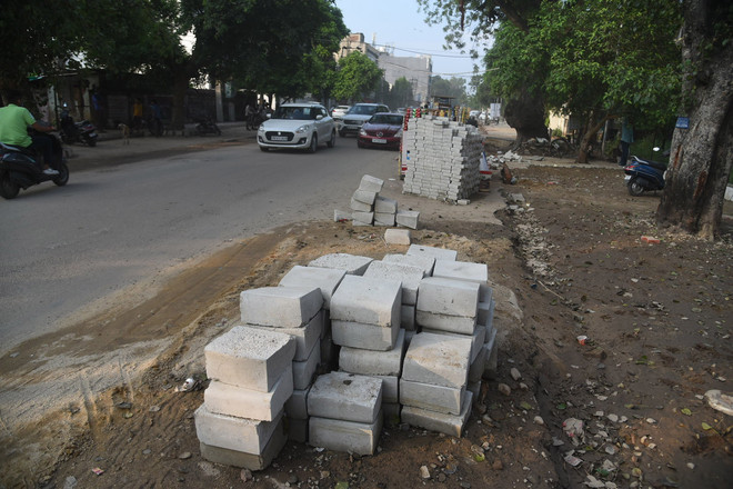 Ludhiana west: Unplanned projects trouble residents