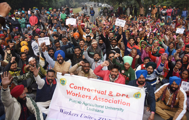 Punjab Agricultural University, Ludhiana, contractual staff intensify stir for regularisation of services