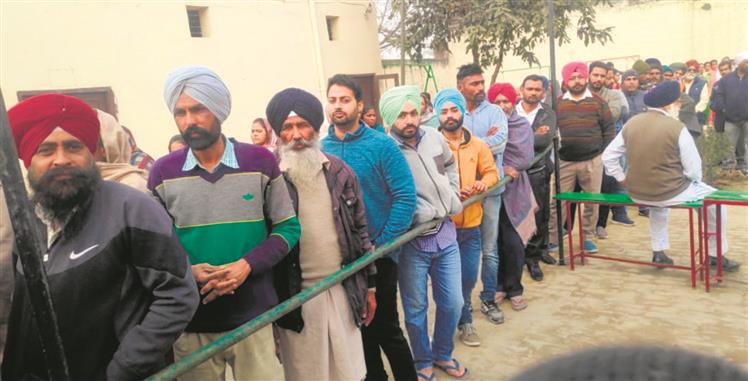 Civic Body Elections: 70.09% voter turnout in Patiala district