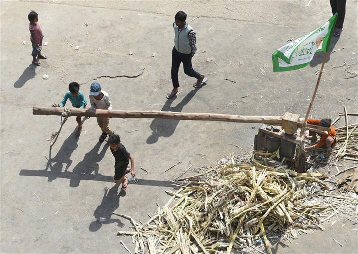 Farmers’ protest in Muzaffarnagar villages more about sugarcane issues than agri laws