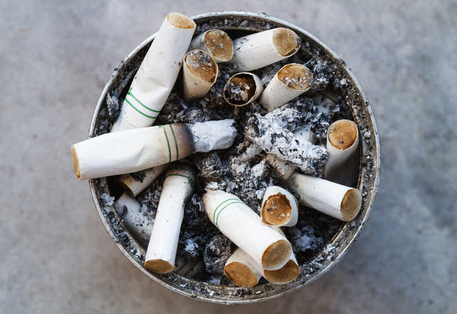 80% people believe cigarettes, bidis serious problem: Survey