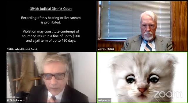 ‘I’m not a cat’: Texas lawyer trapped by cat filter informs judge on Zoom call