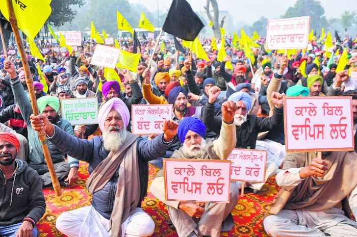 Local bodies elections: Farm laws backfire on BJP in Punjab