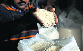 Rice exports to China a boost to Haryana industry