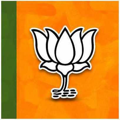 Poor show: BJP candidates get votes in single digit in most wards