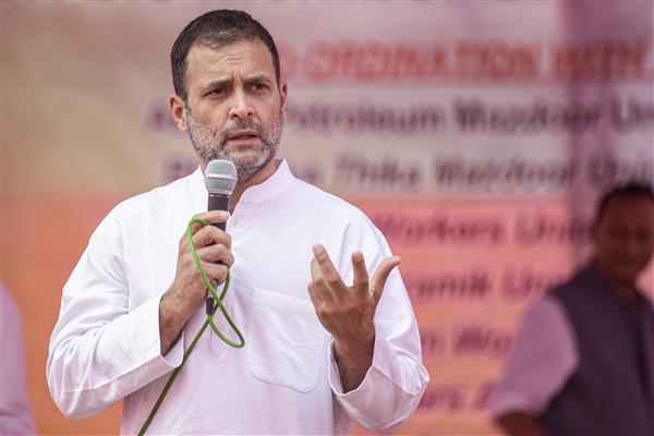 Govt wants to snatch farmers’ future: Rahul on new agri laws
