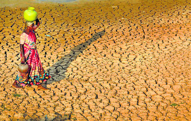 Warming will increase frequency of flash droughts in India: IIT Gandhinagar study