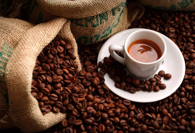 Strong coffee before exercise ups fat-burning in men: Study