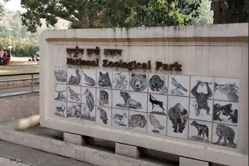Delhi Zoo to open with new look after a year