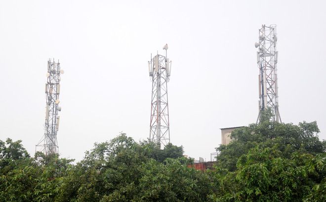 No mobile towers atop houses in Punjab: Punjab and Haryana High Court