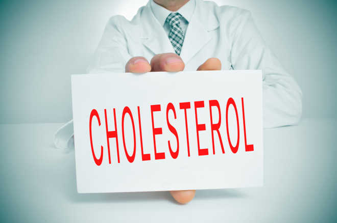 Cholesterol May Be Key to New Therapies for Alzheimer’s Disease and Diabetes: The Tribune India