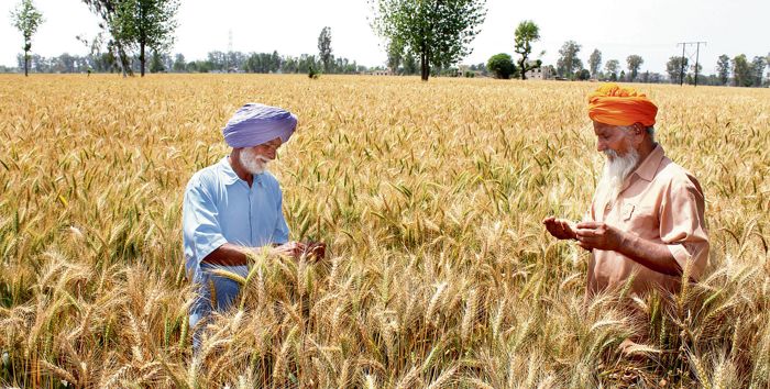 Farm sector to outpace manufacturing: Survey