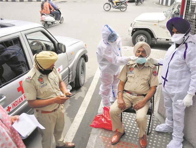 Six deaths in day raise alarm, March toll 45  in Patiala