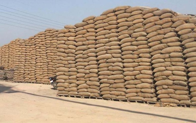 Moga Pungrain suffered Rs 1.67-cr loss due to ‘poor management’