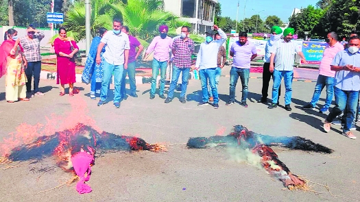 Officials burn effigies of VC, Registrar at Punjabi University