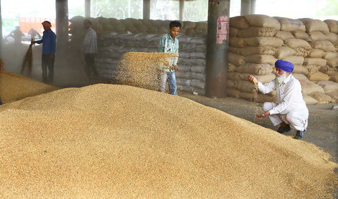 2.5L MT wheat procured: Ludhiana Deputy Commissioner