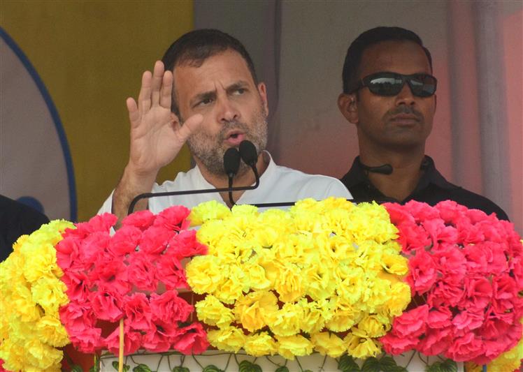 Raiding Opposition is BJP’s coping mechanism when facing electoral defeat: Rahul Gandhi