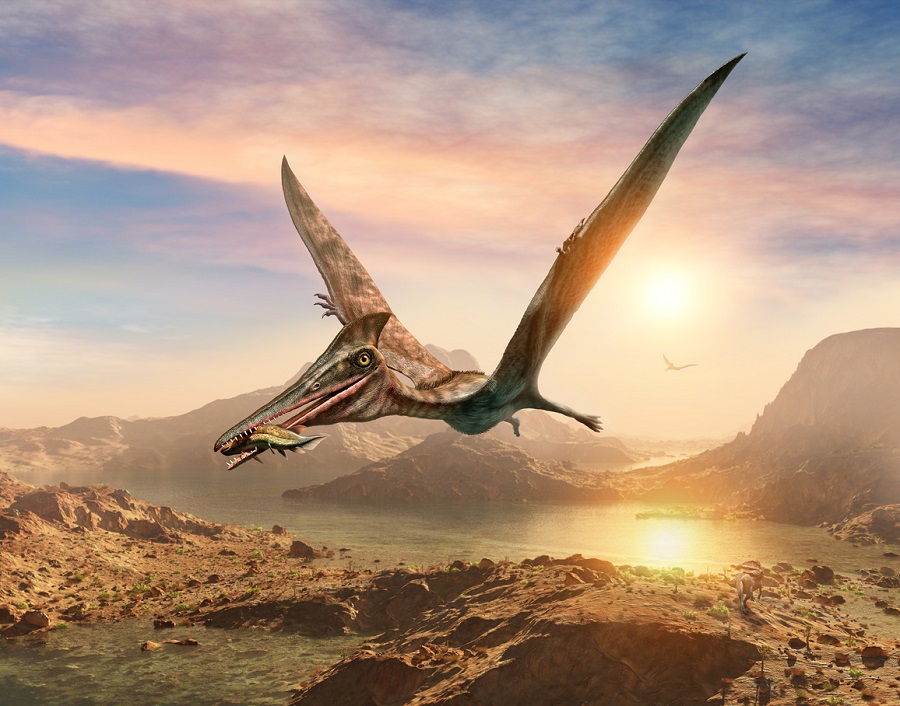 New flying reptile that lived in China 160 years ago reveals oldest opposed thumb