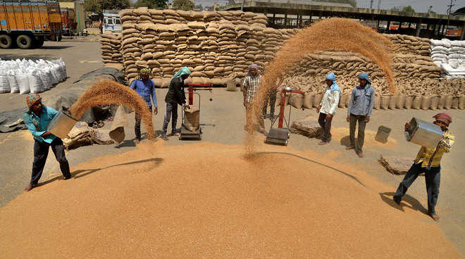 ACS reviews wheat procurement arrangements in Karnal