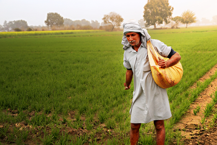 Centre directs fertiliser firms not to hike MRP of non-urea fertilisers; sell at old rates