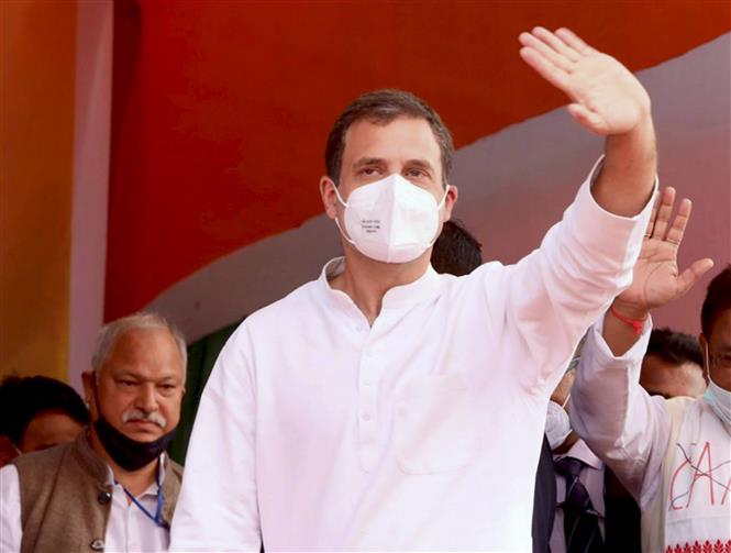 Citing Covid-19 surge, Rahul Gandhi calls off West Bengal rallies