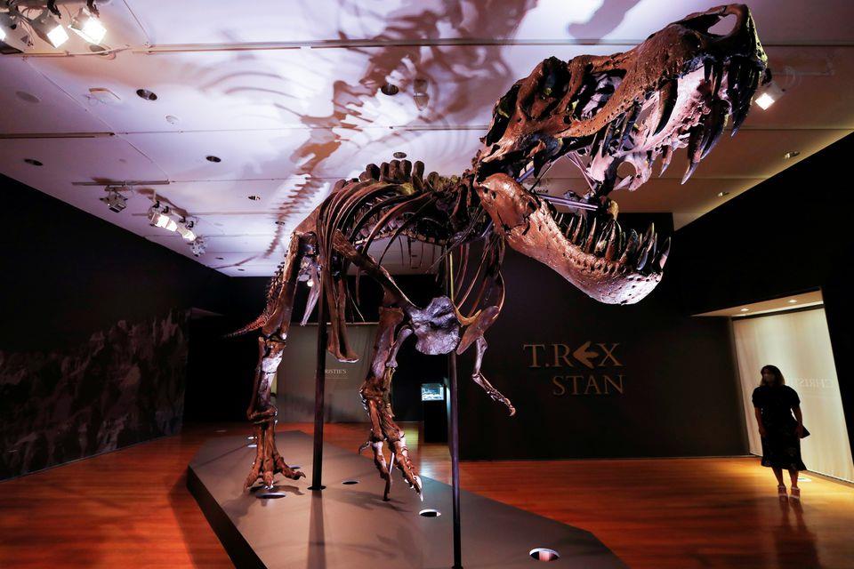 Study shows T. rex numbered 2.5 billion
