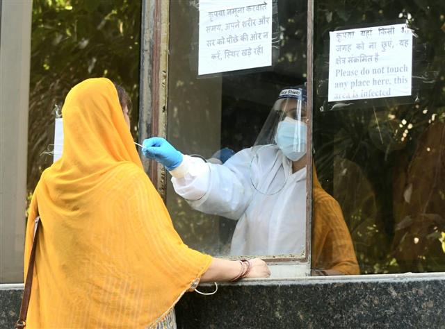 Coronavirus claims 49 more lives in Punjab, 2,705 test positive