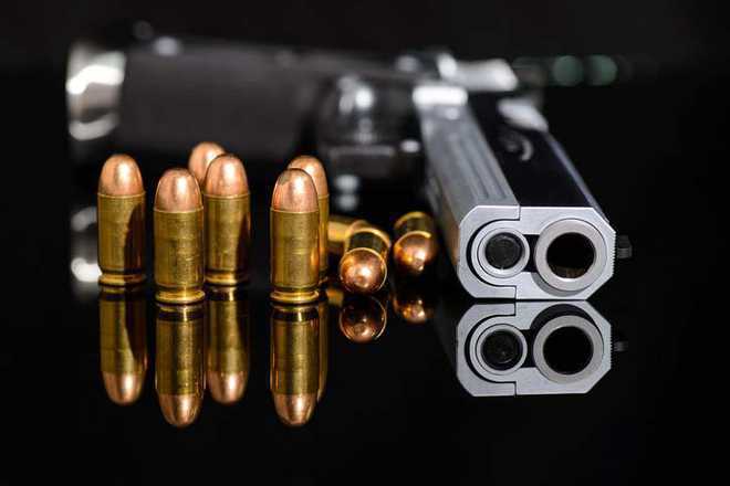 Pvt security officer’s revolver stolen