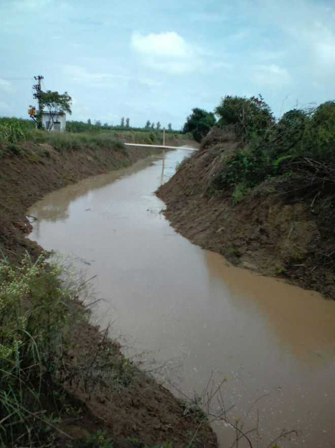 Reservoir to store rainwater in Kurukshetra's Mukurpur village soon