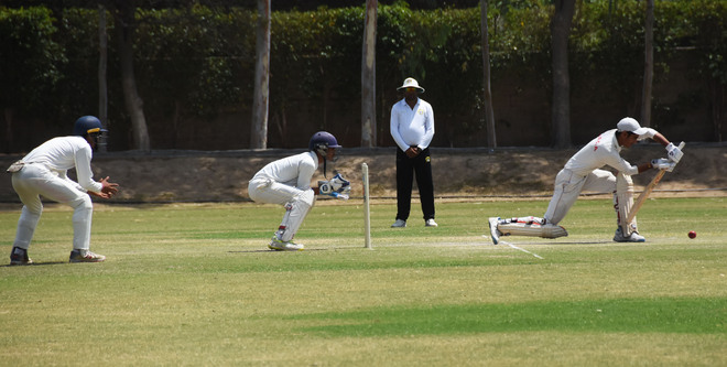 Cricket: Another outright win for Ludhiana