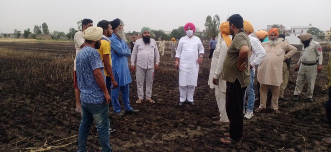 Wheat crop gutted in 56 acres in Ludhiana village