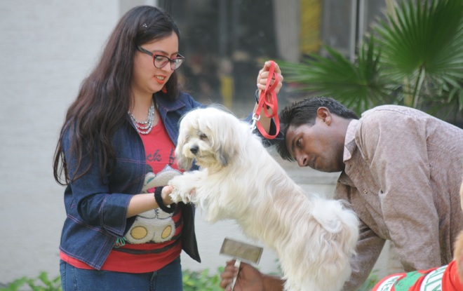 Pet registration fee: Ludhiana Civic body mulls exemption to some categories