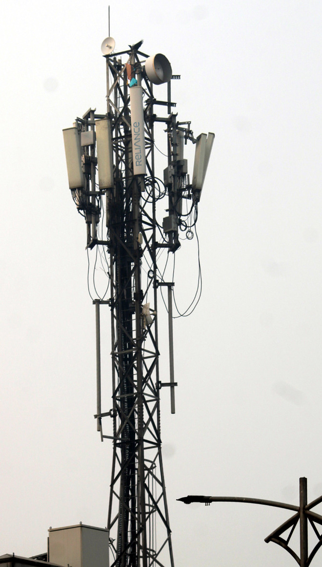 Monitor erection of mobile towers in state: HC to panel