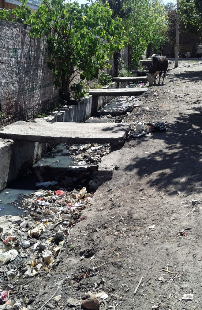 Choked drain stinks, needs cleaning in Ambala