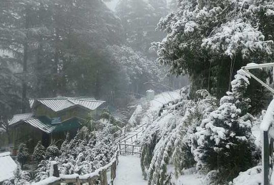 Unexpected snow, rain fill depleting water sources in Himachal