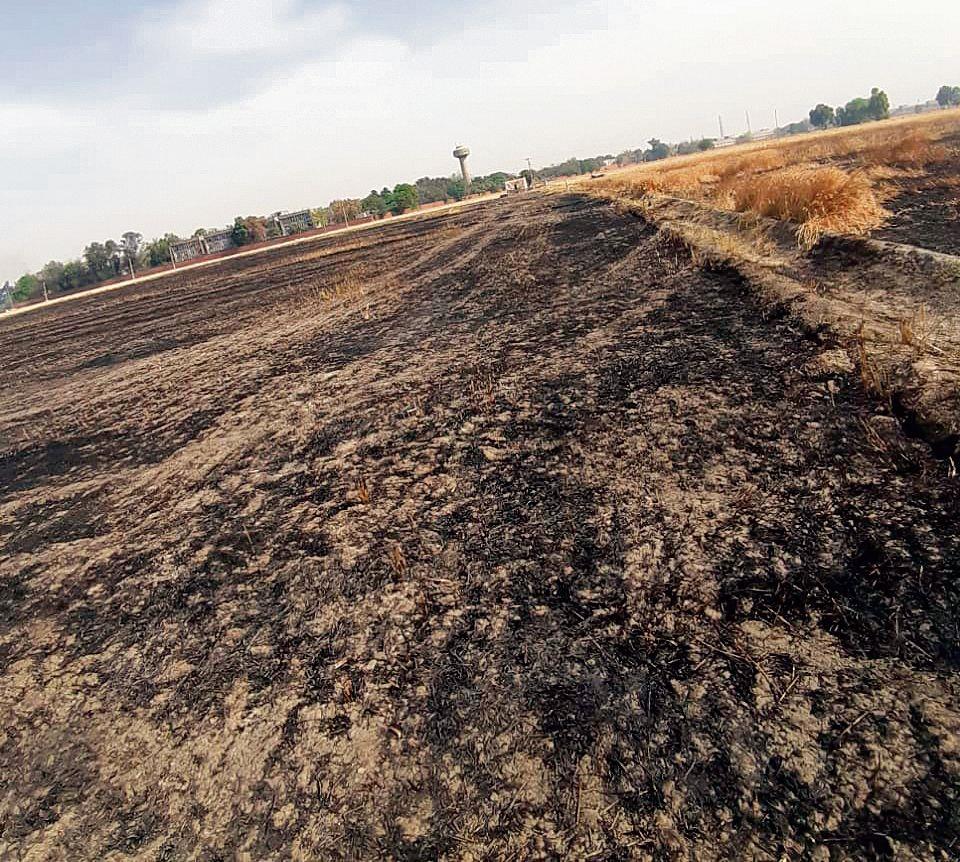 Sangrur farmers worried over fire incidents in fields