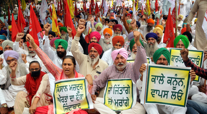Farmer unions protest outside FCI offices in Bathinda and Mansa