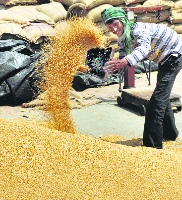 90 quintal of wheat smuggled from Rajasthan seized
