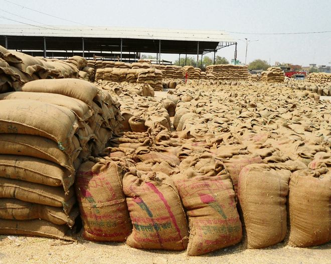 Amritsar DC takes stock of wheat procurement arrangements