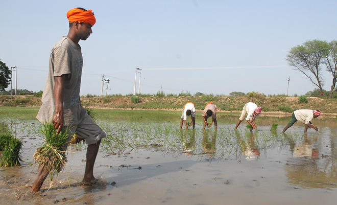 Bonded labourers: MHA letter attempt to ‘defame’ farmers