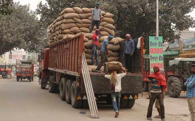 11 trucks with other states’ wheat seized in Patiala
